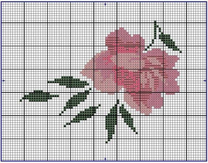 ᐉ вышивка крестом: схемы роз на примере белых и красных - flowmasters.ru