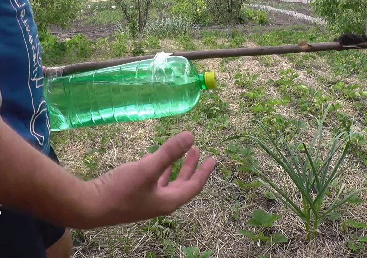 Бутылки для полива в теплице: капельное орошение томатов через пластиковые бутылки своими руками - видео