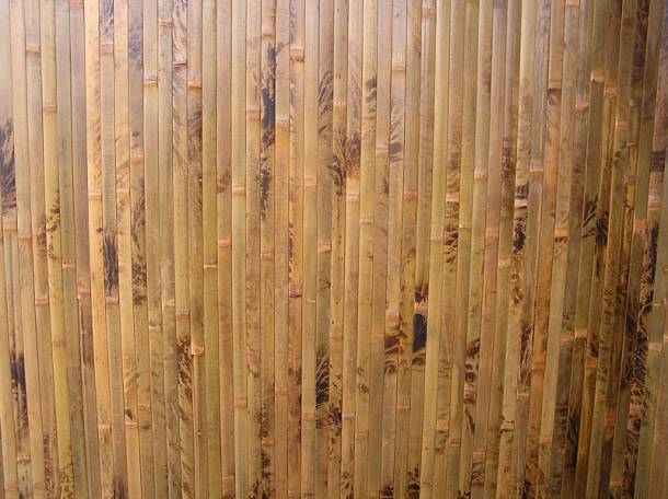 Бамбуковые обои: фото в интерьере, под бамбук, как клеить, видео с рисунком, клей для тканевой основы