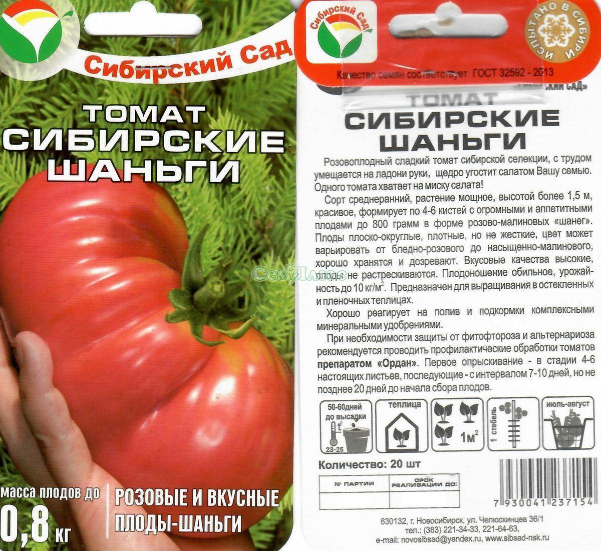 Лучшие томаты сибирской селекции: очень урожайные для теплиц и открытого грунта