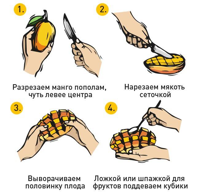 Как правильно почистить манго в домашних условиях - очищаем от кожуры, режем на кусочки | maritera.ru