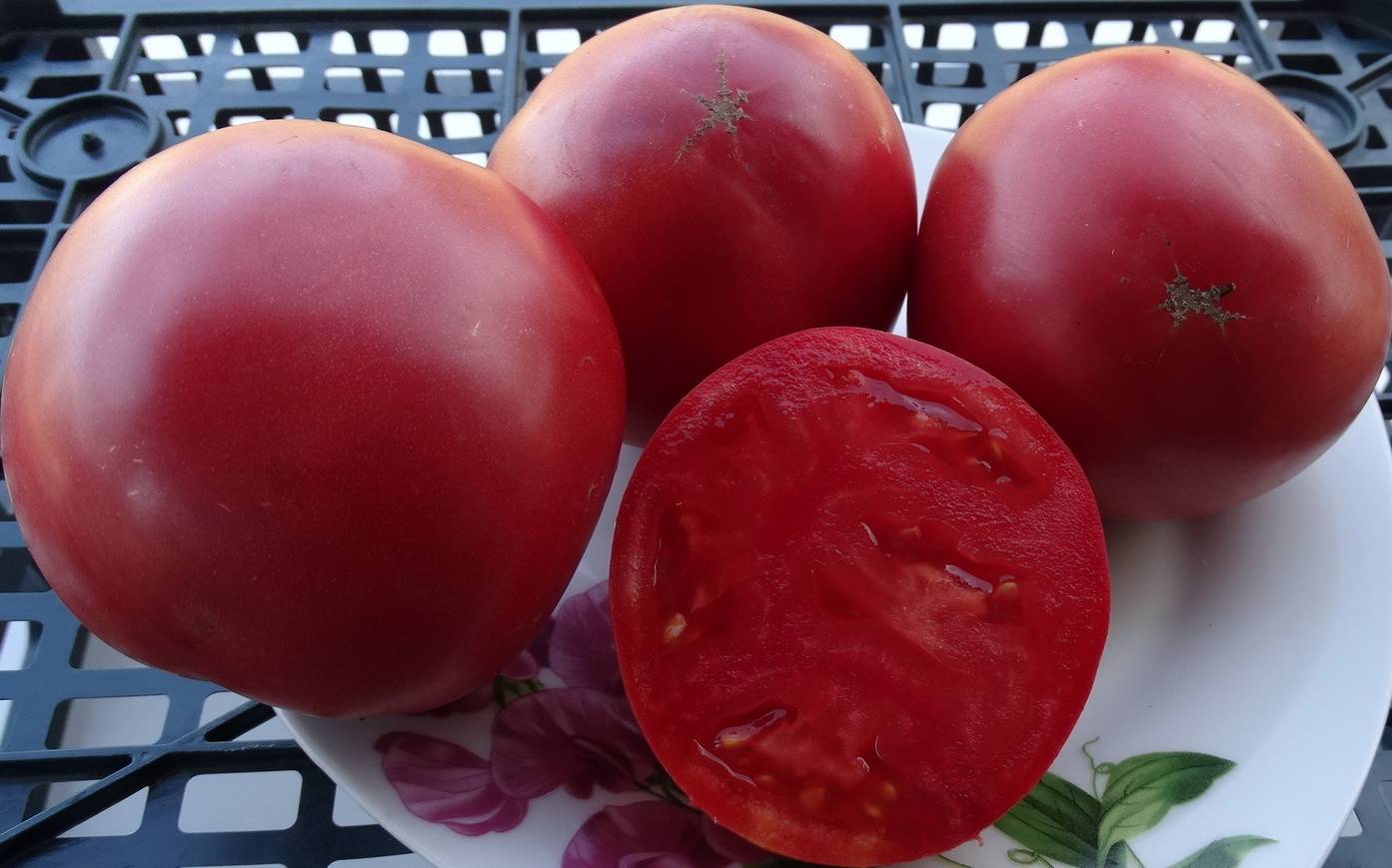 Самые сладкие сорта томатов для теплиц и открытого грунта
