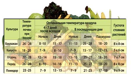 Оптимальная температура воздуха и почвы для роста огурцов в открытом грунте и в теплице ночью: при какой температуре перестают расти