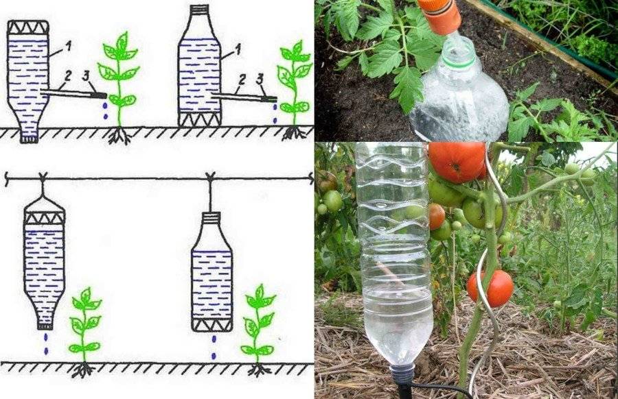 Капельный полив для огурцов из пластиковых бутылок своими руками: пошаговая инструкция