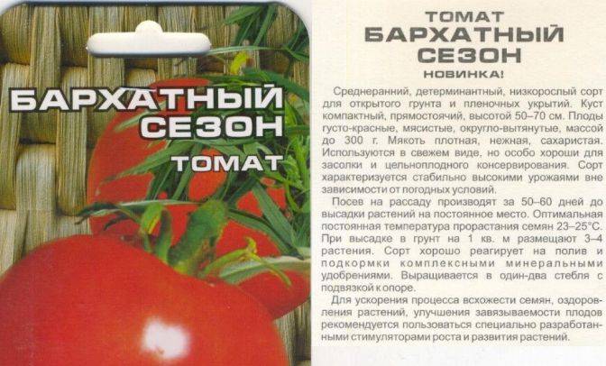5 низкорослых сортов томатов прекрасно подходящих для теплицы