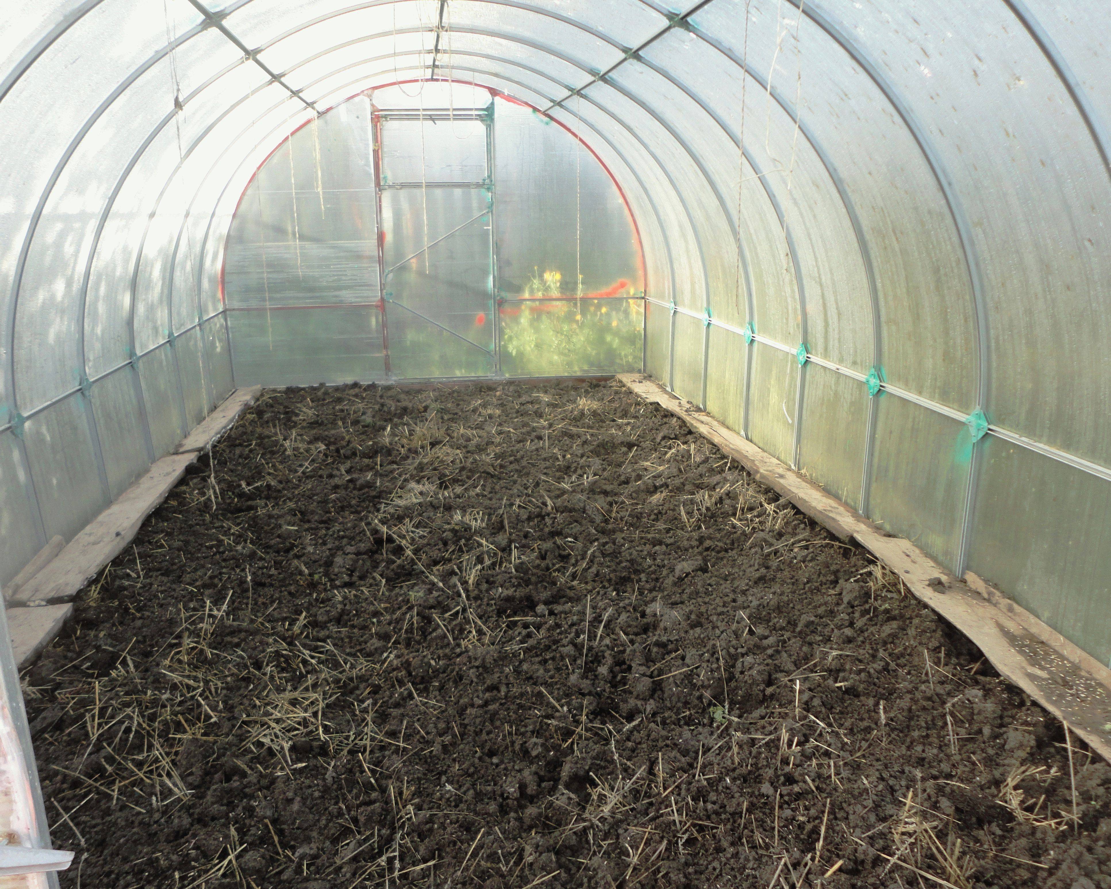 Чем обработать землю в теплице: под томаты, помидоры, весной, почвы, перед посадкой