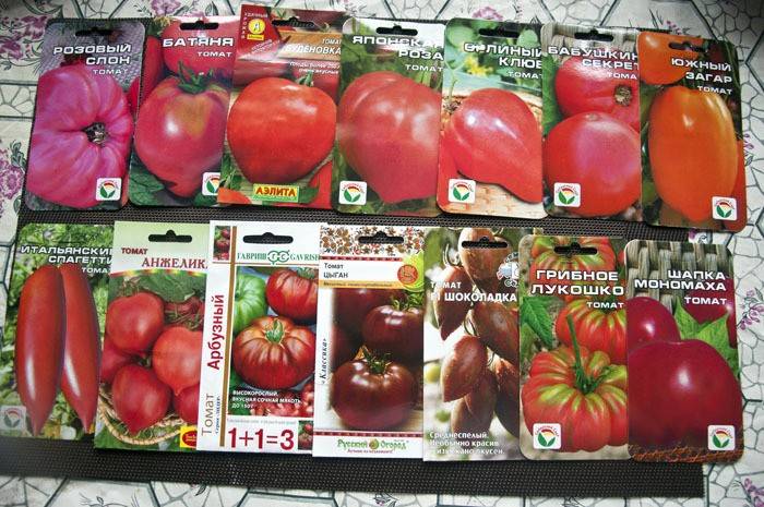 Лучшие сорта томатов для теплиц из поликарбоната: выбираем подходящие