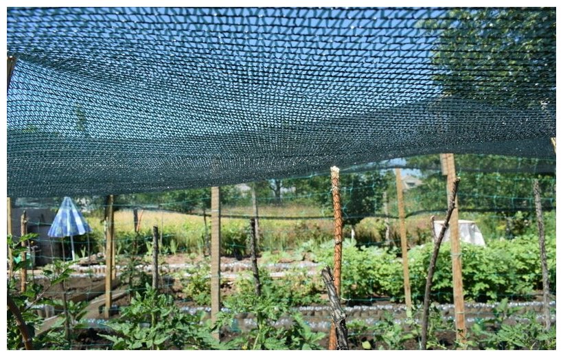Сетка притеняющая для растений. как выбрать затеняющую сетку? | зелёный сад
