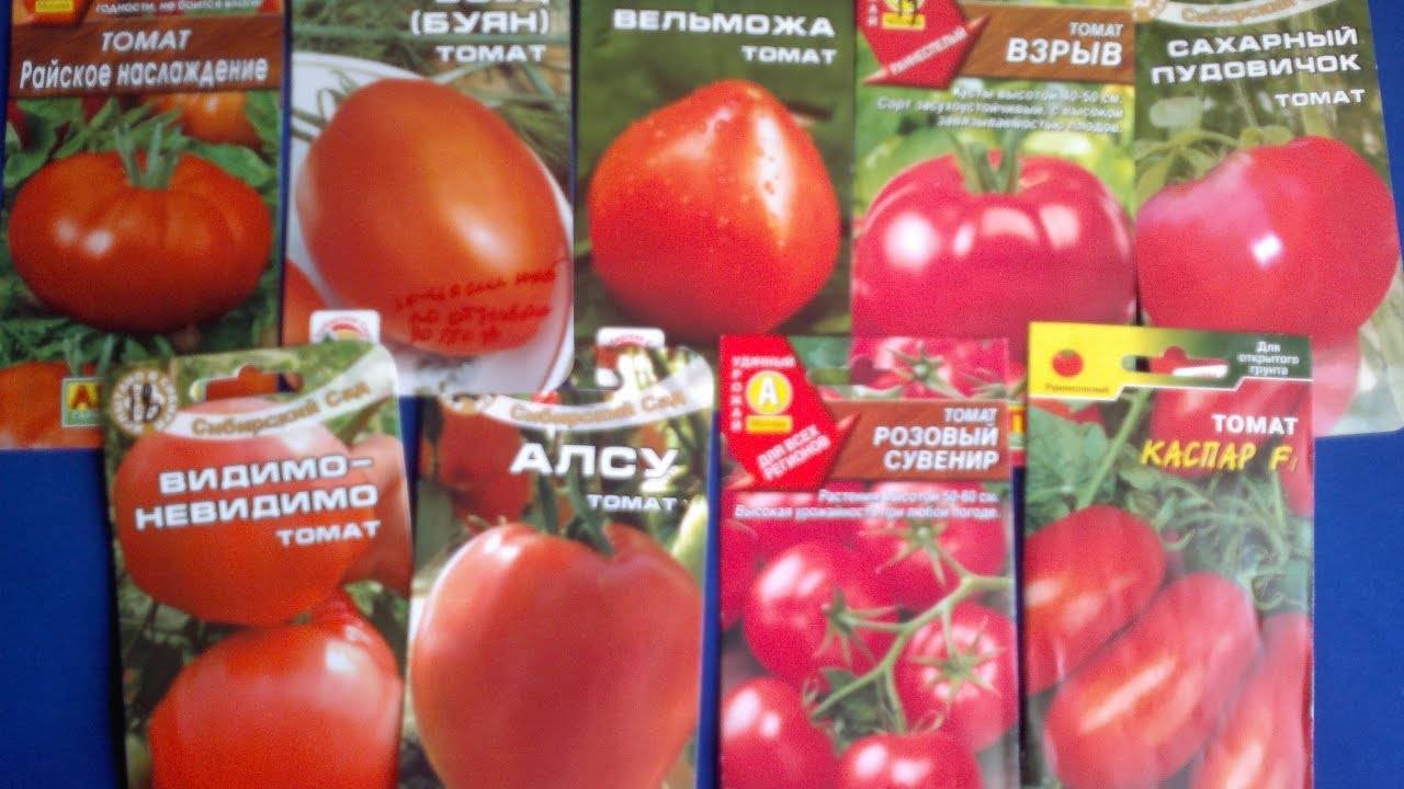 Лучшие сорта томатов для теплиц из поликарбоната: выбираем самые подходящие