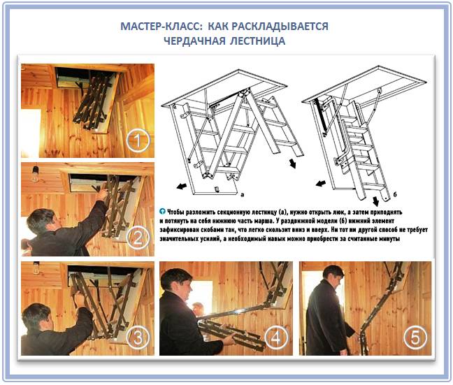 Чердачная лестница своими руками: установка и монтаж, как сделать чертежи, видео как из дерева, фото как крепить