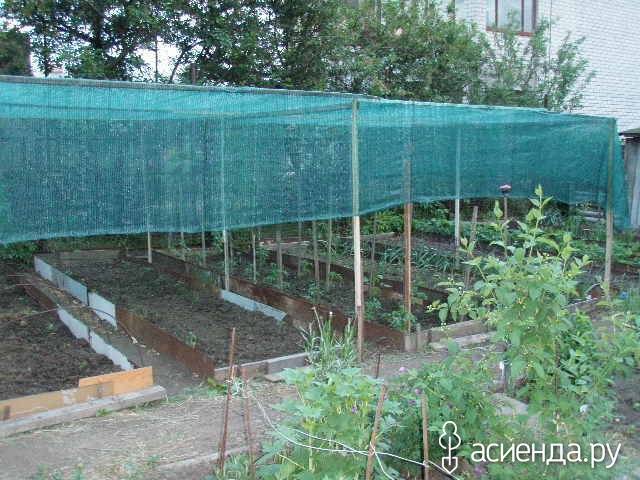 Притеняющая сетка для теплиц — как выбрать, применение, видео | сад и огород