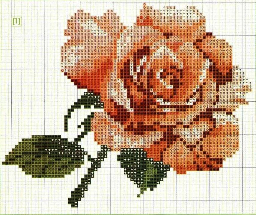 Вышивка крестом розы с подборкой схем
