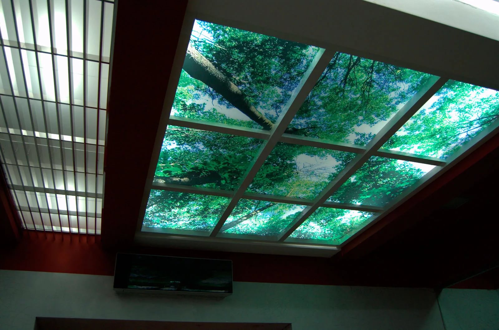 Стеклянный потолок: все за и против
стеклянный потолок: все за и против |