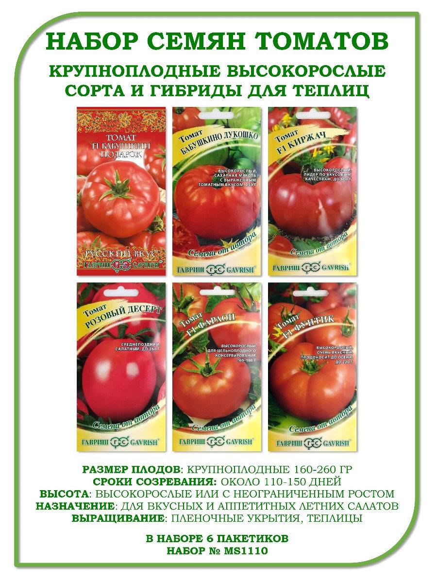 Высокорослые томаты для теплиц: высокоурожайные сорта, обзор лучших и помощь в выборе подходящего