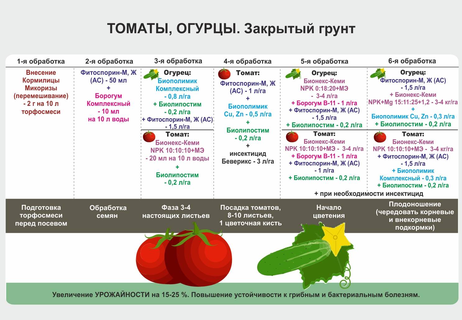 Как пересадить рассаду томатов и перцев в теплицу правильно? видео — ботаничка